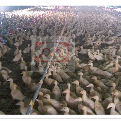 �B(y��ng)���O(sh��)��-ˮ��