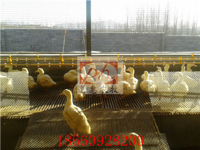 �B(y��ng)���O(sh��)��-ˮ��