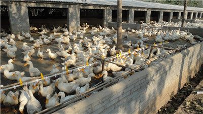 �B(y��ng)���O(sh��)��-�� ˮ��(xi��n)