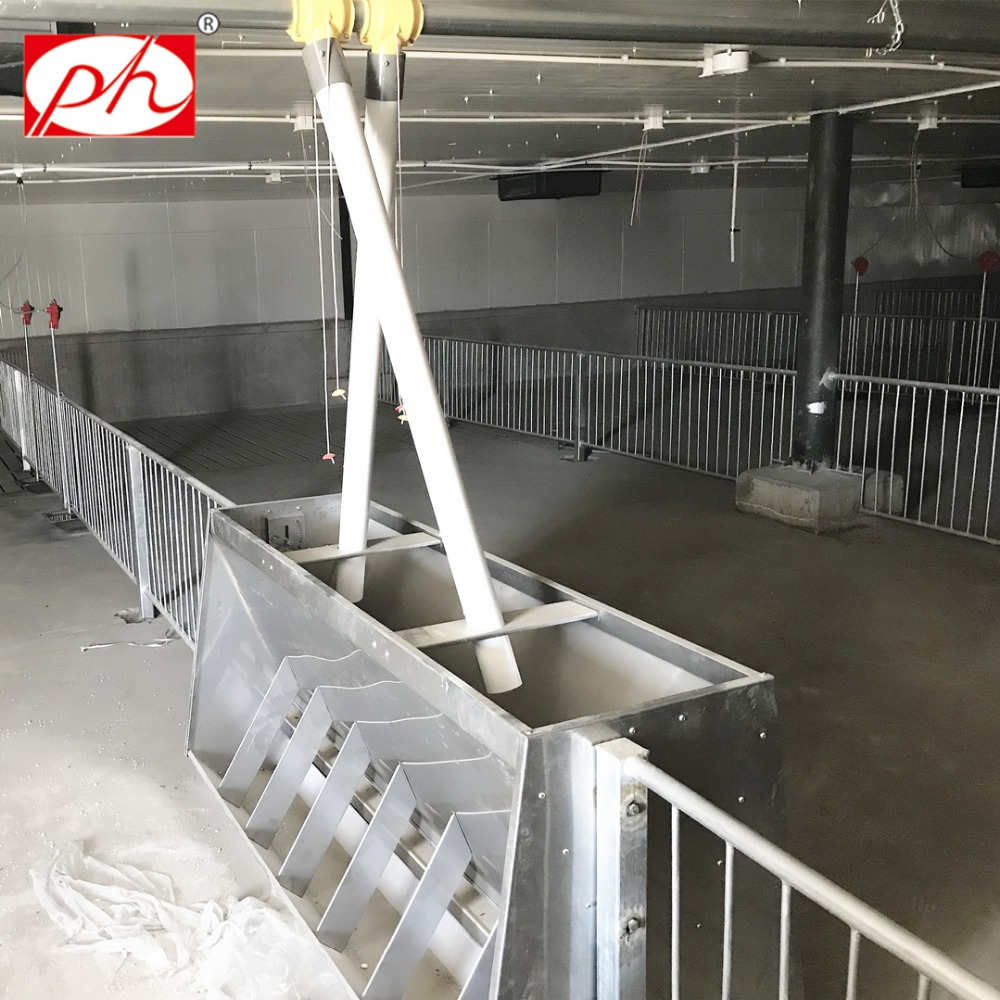 ���ʴ�� ��������i ���p��ʳ�� ������