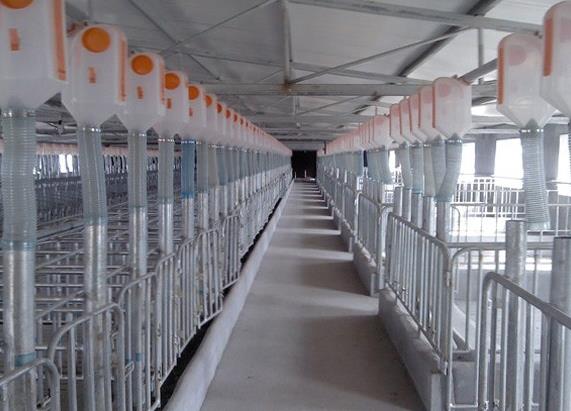 ��ֹ�҂���ʧ�`��(d��o)�������Ч������ۿ�