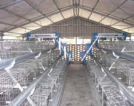 �S���ǂ�(g��)����ǧ�f�����S�����M(f��i)��